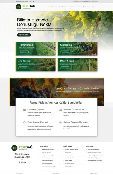 Tekbağ web sitesi masaüstü görünümü